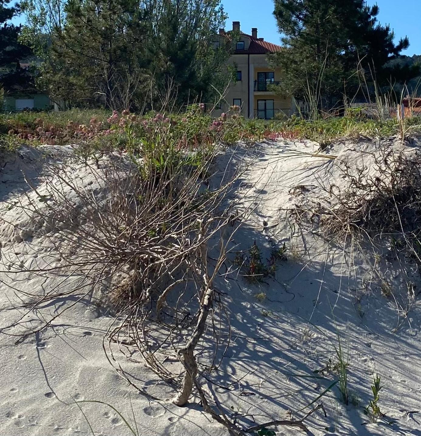 Apto Las Dunas De Langosteira En Финистерре Экстерьер фото
